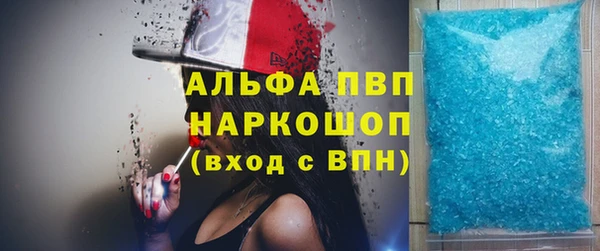 a pvp Новозыбков