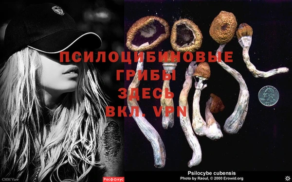 ALPHA-PVP Новокубанск