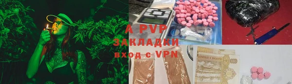 метадон Шенкурск