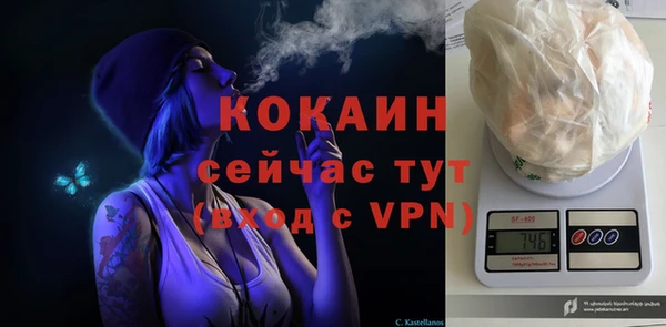 a pvp Новозыбков