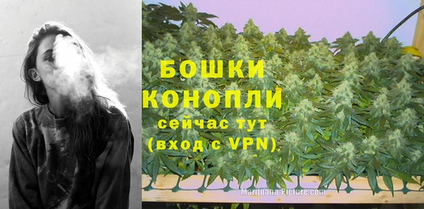 a pvp Новозыбков