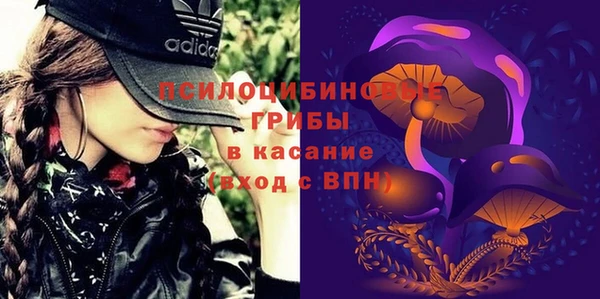 a pvp Новозыбков