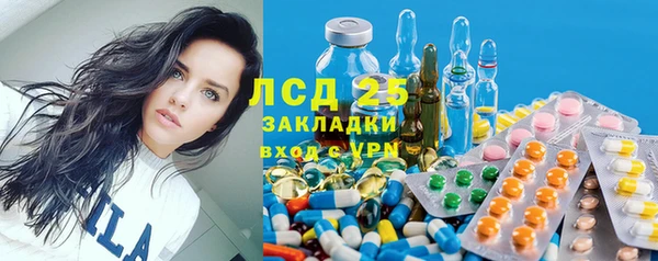 a pvp Новозыбков