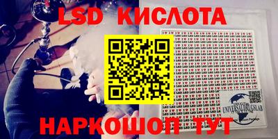 прущие грибы Ачхой-Мартан