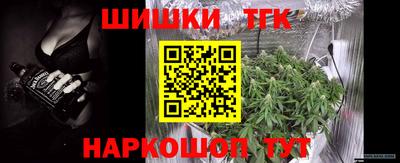 прущие грибы Ачхой-Мартан