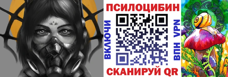 маркетплейс Telegram  blacksprut ССЫЛКА  Коломна  Псилоцибиновые грибы GOLDEN TEACHER 