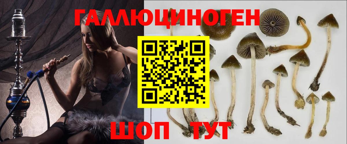 Псилоцибиновые грибы прущие грибы Коломна